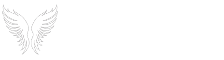 Seraph Force